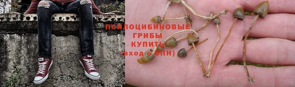 сатива Богданович