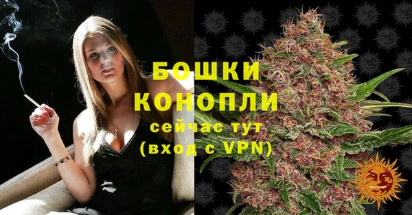молекула духа Бронницы