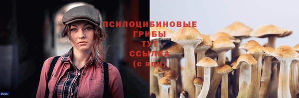 молекула духа Бронницы