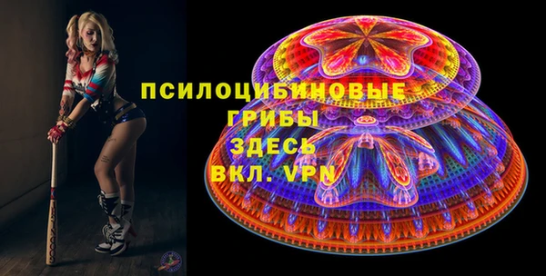 Альфа ПВП Бугульма
