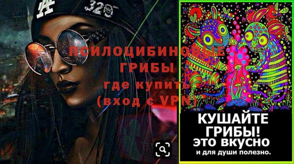 молекула духа Бронницы